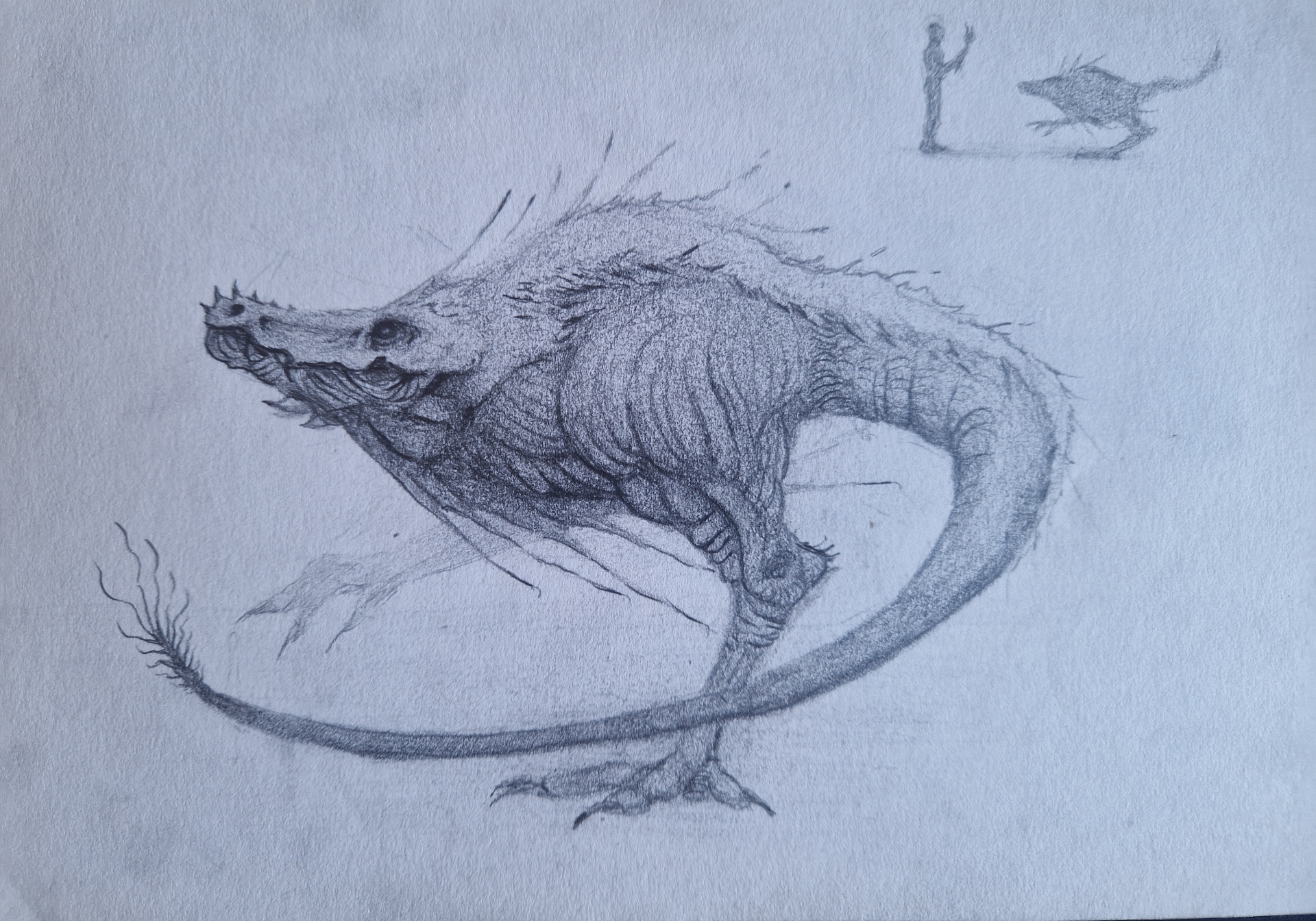 Your sketch
